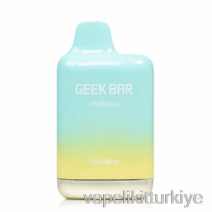 Vape Elektronik Sigara Geek Bar Meloso Max 9000 Tek Kullanımlık Serin Nane